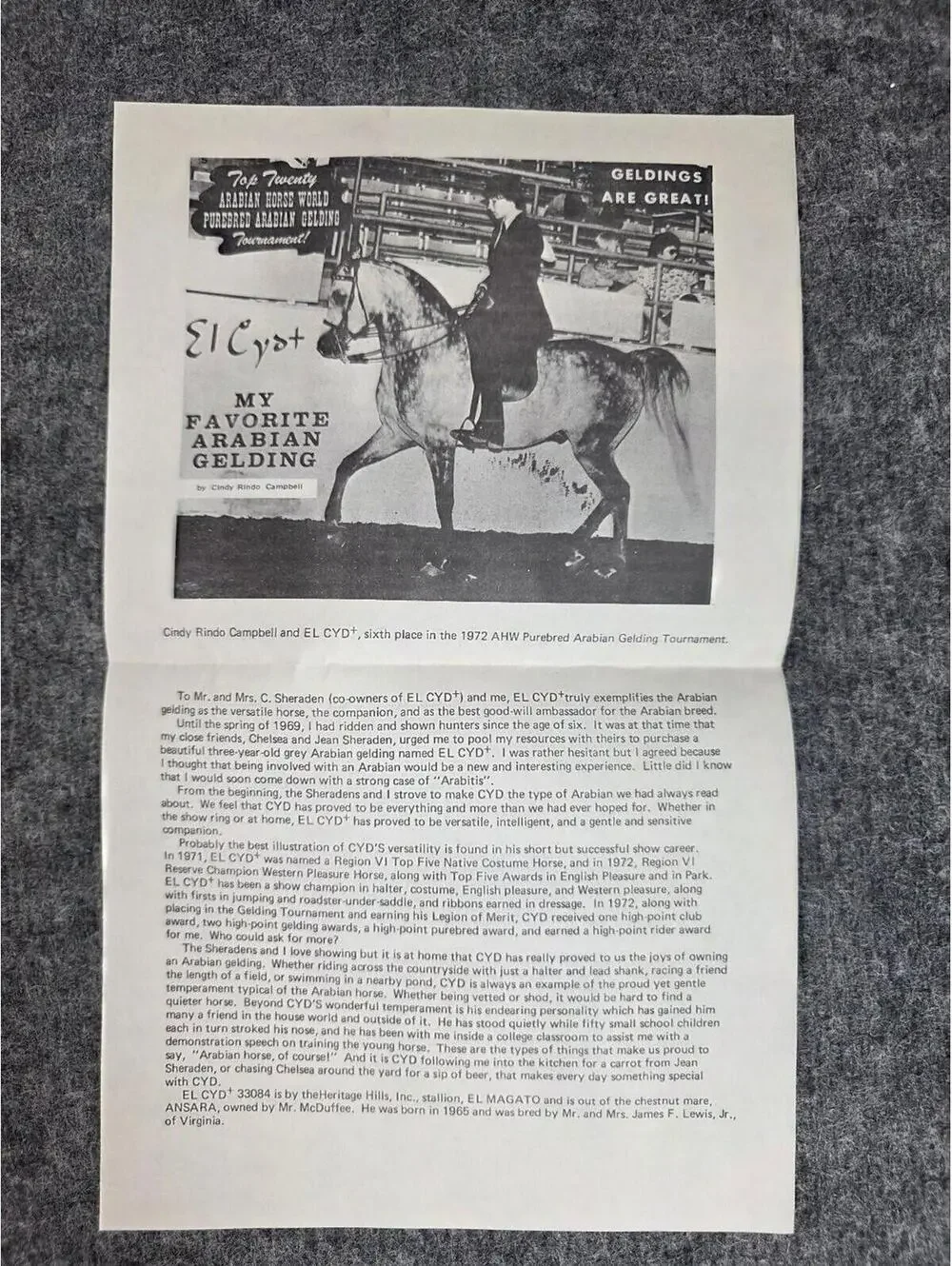 1972 Arabian Horse World Purebred Arabian Gelding Tournament Article